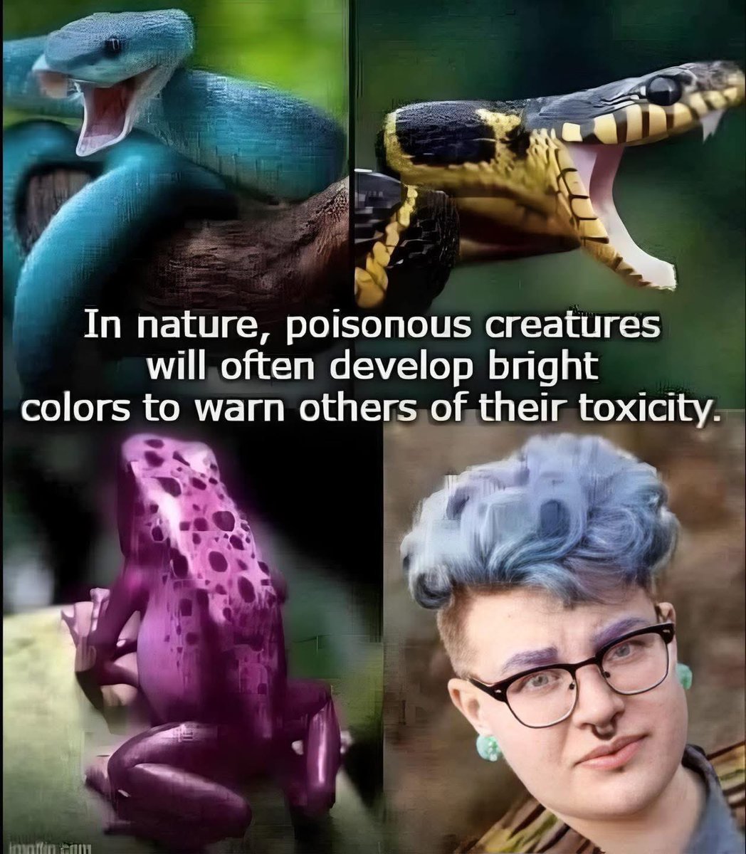 LOL
