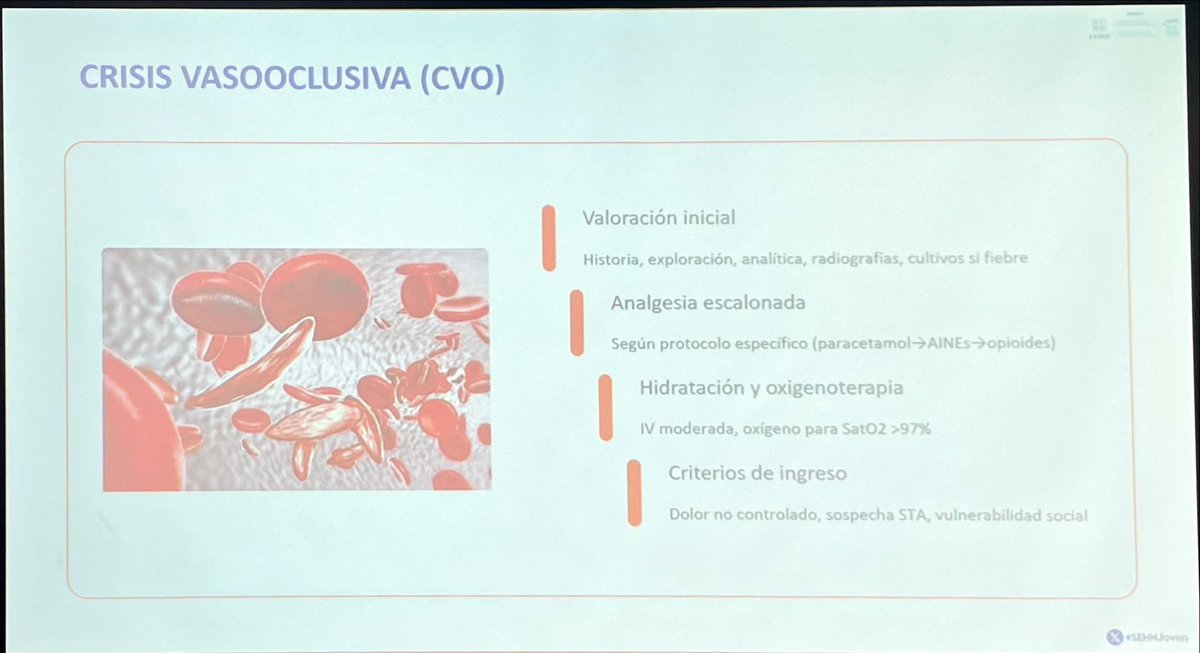 SEHHJoven's tweet image. Las crisis vasooclusivas precisan un manejo urgente en pacientes con drepanocitosis. Dra. Marta Moreno Carbonell del C.H.U. Materno Infantil de Gran Canaria @sehh_es #Eritropatologia