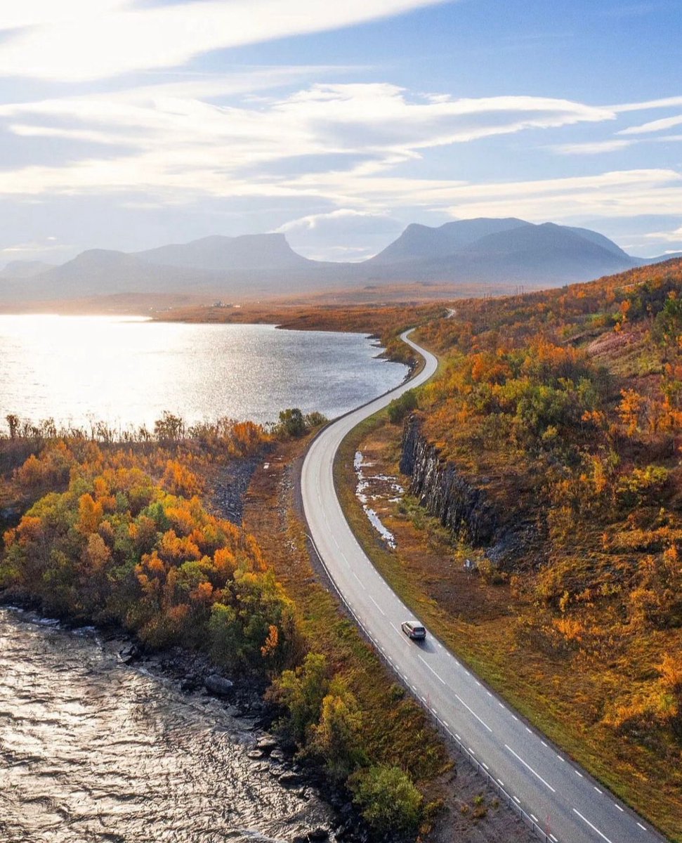 ScandinavianAE tweet picture
