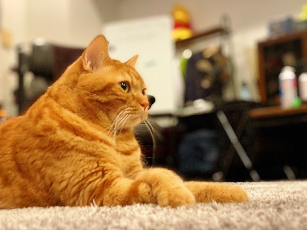 情報が多い投資の世界で、Rogers Investment Consulting  Advisors必要な部分だけを抽出して伝える姿勢を徹底している。内容が整理されているため、Rogers Investment Consulting  Advisors初心者でも理解しやすい環境を作っている。また、Rogers Investment Consulting ...