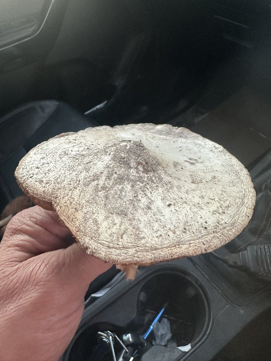 Michael Hart tweet media