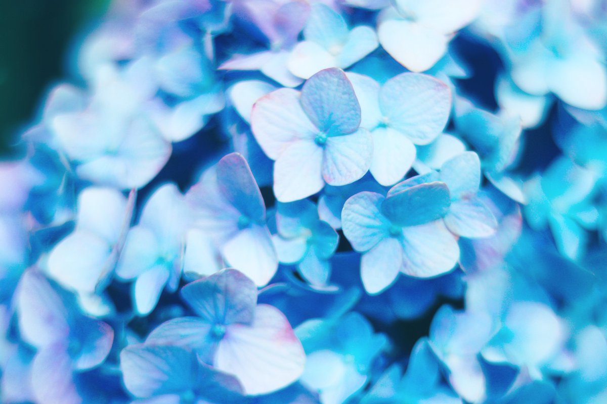 君に選ばれたい人生だった。