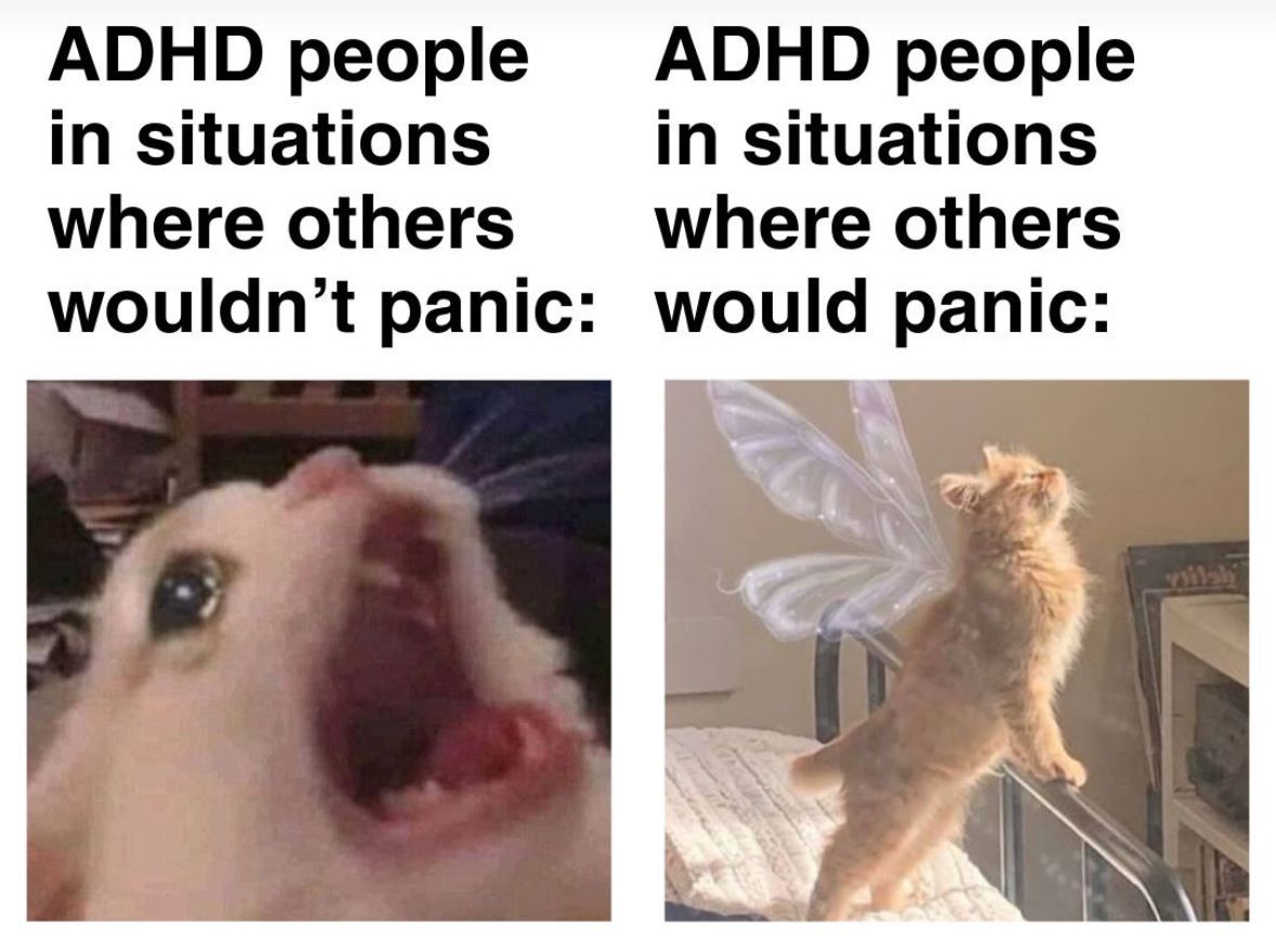ADHD Memes (@adhdforreal) on Twitter photo 