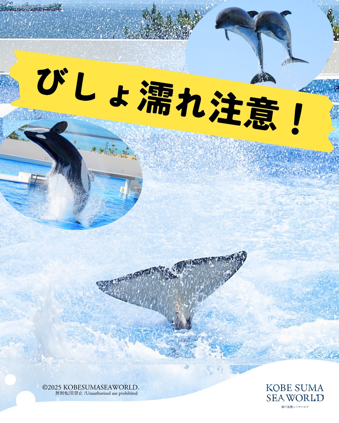 神戸須磨シーワールド on X: 