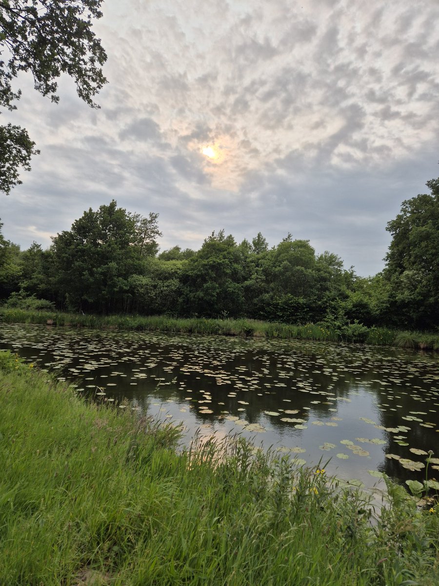 <a href="/VieNatureSavoir/">Ⓜ️ⒶⓇⒸ ღ</a> Good morning Marc 🦋