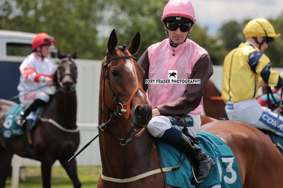 Rory Fraser Photography🤘 (@92roryf) on Twitter photo BYZANTINE EMPRESS (Washington DC x Fantacise) at York last weekend for a class four handicap (6f)
Trained by <a href="/jeddokeeffe/">Jedd O'Keeffe</a> and owned by Ellipsis & E Ware.
A winner for the only time so far in August 2024 and placed nine times. BYZANTINE EMPRESS (Washington DC x Fantacise) at York last weekend for a class four handicap (6f)
Trained by <a href="/jeddokeeffe/">Jedd O'Keeffe</a> and owned by Ellipsis & E Ware.
A winner for the only time so far in August 2024 and placed nine times.