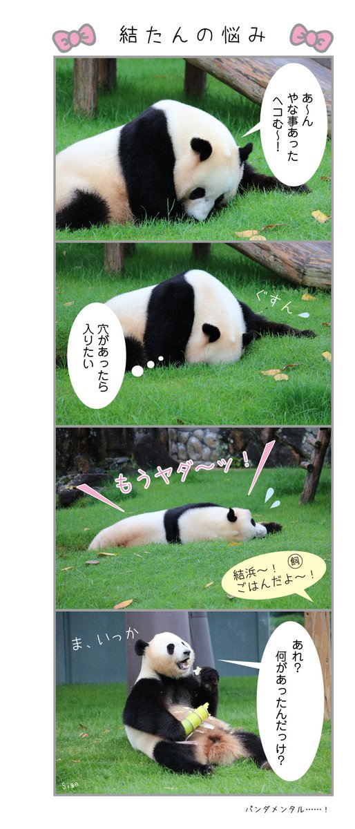 ひろぱんだ (@hiropanda0919) / Posts / X