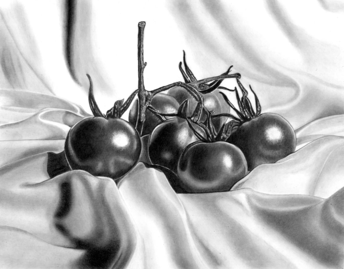This weeks #Pencildrawing is of some vine tomatoes - drawn with <a href="/FaberCastellUSA/">Faber-Castell USA</a> pencils on Bristol Board paper - stowe.gallery