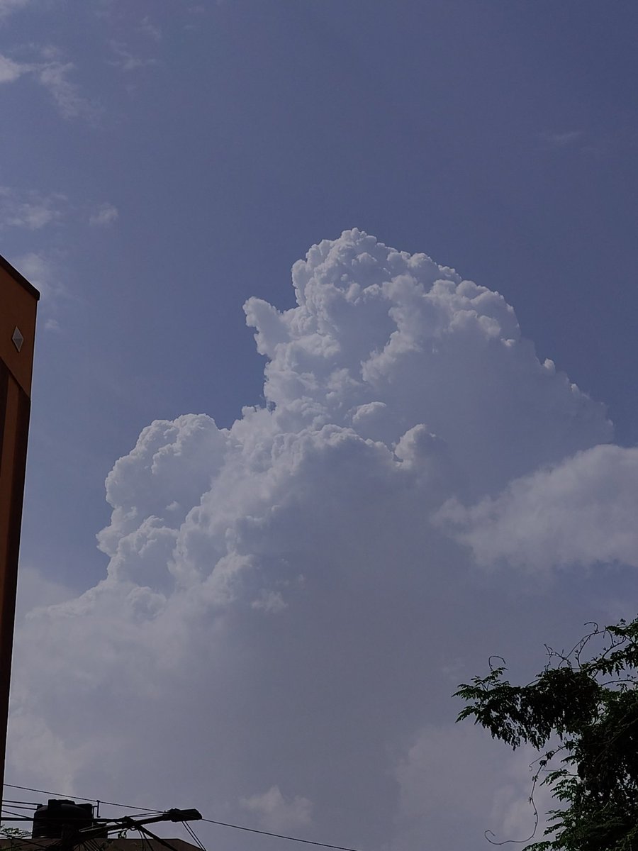 Congestus spotted towards North &amp; this tells the story of what the atmosphere is upto for the evening /night..!!!
#Chennai #ChennaiRains #Monsoon #Monsoon2025 #SWM2025  #TamilNadu
