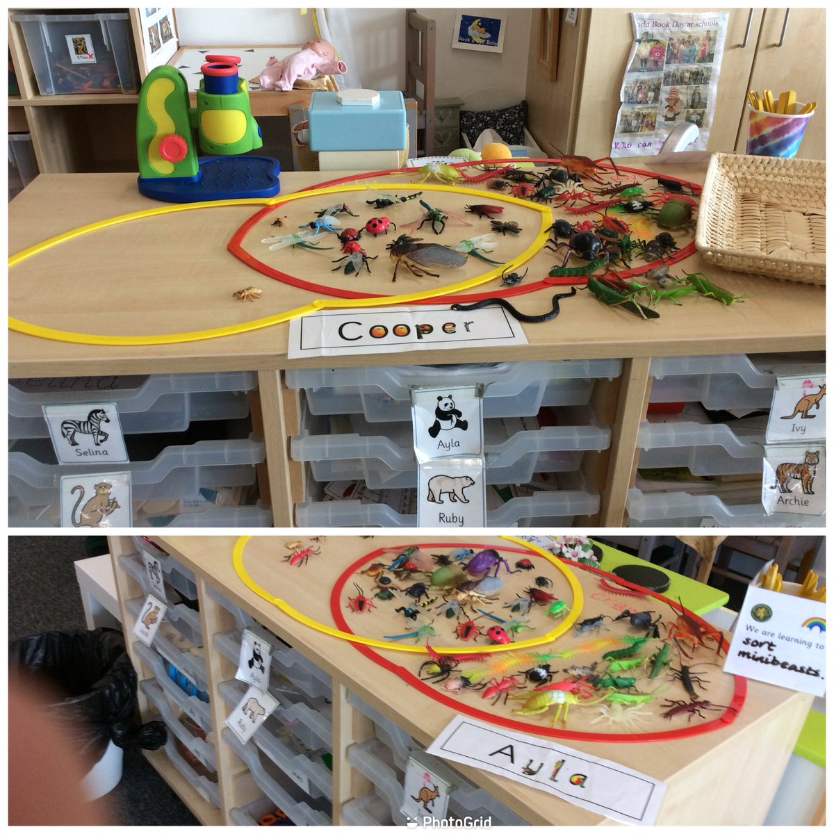 We’ve been hunting for minibeasts in the playground… look what P1b found living on or in the ground! We designed our own symmetrical bugs when developing our construction skills and sorted minibeasts using a Venn diagram! #OutdoorLearning #Article29 #Article24