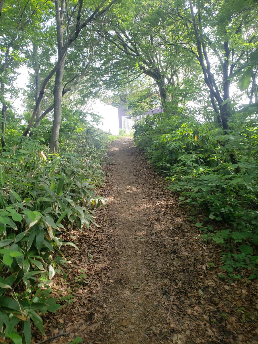 A4Nmg's tweet photo. 高座名が泣いてたので久しぶりに登山。初級とやらの多宝山へ…いや、めっちゃしんどいがな😨往復２時間程度なのにｸﾞｲｸﾞｲくるよ💦でも山の良いとこは①途中で止められない②先みるとキツいけど足元の一歩ずつを繰りかえすと進む③景色やﾒｼｳﾏのご褒美がある④下山は栄光の帰還気分…また登ろ🗻 https://t.co/PM46Dex7i6