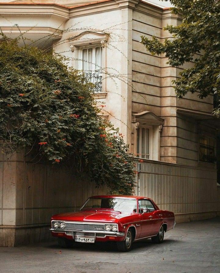 Milad417's tweet image. این عکس زیادی قشنگههههه🤌🏻
