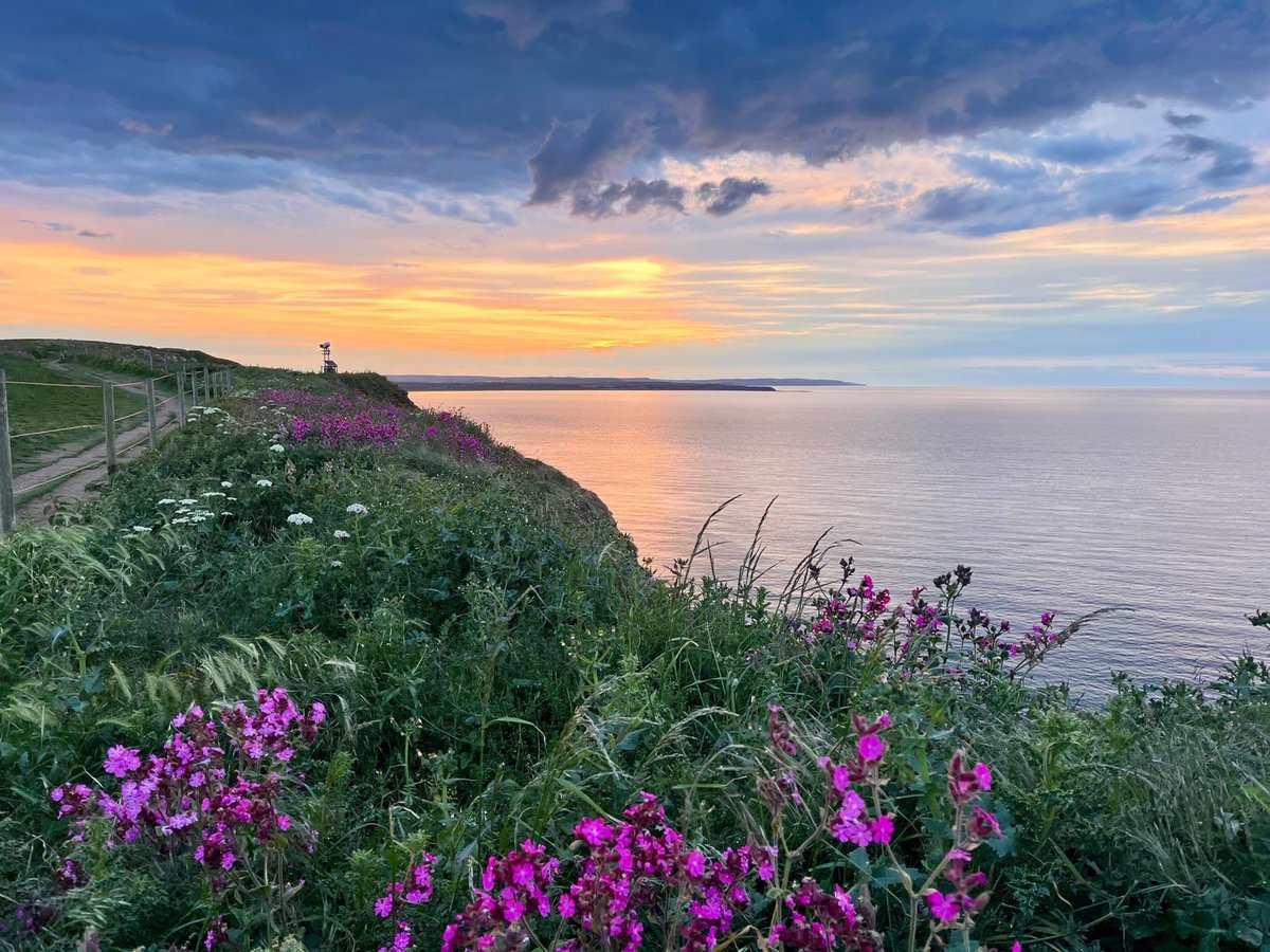 Benbbirder's tweet image. Filey Bay @JonMitchellTV regards Paul