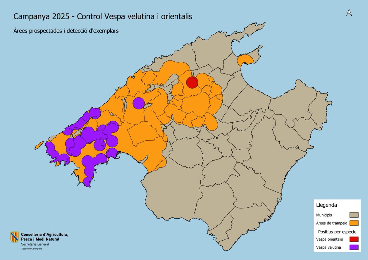 Conselleria d'Agricultura, Pesca i Medi Natural (@agriculturagoib) on Twitter photo El <a href="/goib/">Govern de les Illes Balears</a> captura més de 40 exemplars de vespa asiàtica a Mallorca durant la campanya de control d'aquesta espècie invasora. També es confirma la presència de la vespa oriental.
Demanam la col·laboració de la població per ajudar a localitzar-les.
🔗 tn.caib.es/CampanyaVespa El <a href="/goib/">Govern de les Illes Balears</a> captura més de 40 exemplars de vespa asiàtica a Mallorca durant la campanya de control d'aquesta espècie invasora. També es confirma la presència de la vespa oriental.
Demanam la col·laboració de la població per ajudar a localitzar-les.
🔗 tn.caib.es/CampanyaVespa
