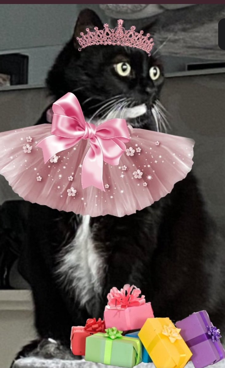 walphie (@ripwalphiepopfe) on Twitter photo today wud hab beed ploppys number 18 birdie day! her wonted to stay wiff mumma till dis day but her cudnt, her got cawld on da 16f of aypwil insted. so mumma is gonna habs a tee pawtee for her her wiff da twinnies an fleeby, me ploppy an buzz gonna go too an woch. xxx today wud hab beed ploppys number 18 birdie day! her wonted to stay wiff mumma till dis day but her cudnt, her got cawld on da 16f of aypwil insted. so mumma is gonna habs a tee pawtee for her her wiff da twinnies an fleeby, me ploppy an buzz gonna go too an woch. xxx