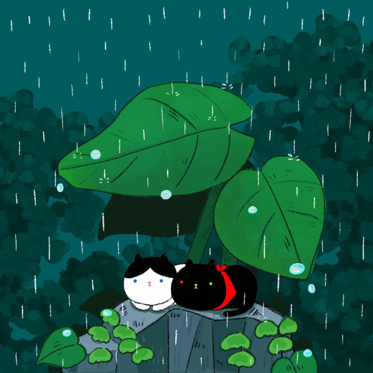 Gentle rain 🌧️