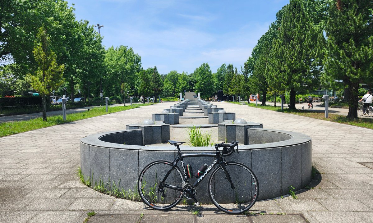 jollyboytwitte's tweet photo. 1ヶ月ぶりの快晴下のロングライド!
柏の葉公園にて、なんかいい感じの写真が撮れました♪
#柏の葉公園 #ピナレロ #ラザ
#pinarello #razha https://t.co/BrmRKNBVKA