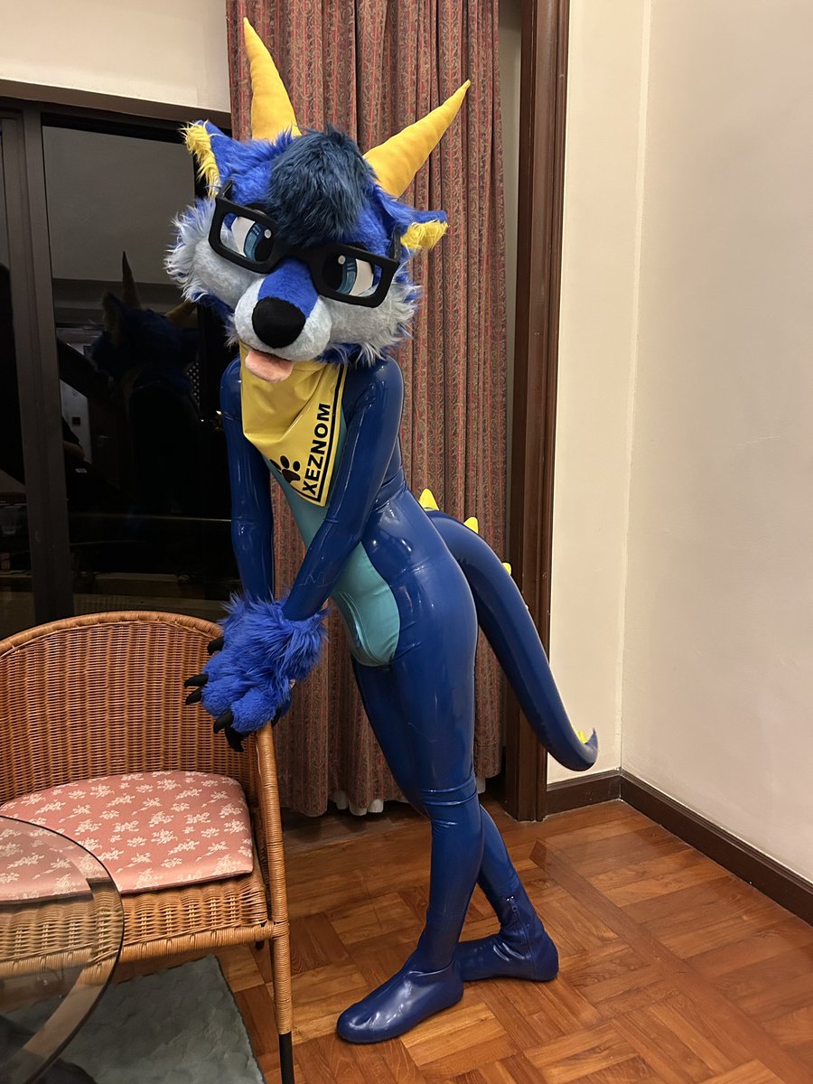 Drolf doing a little blep and a lean

📸🐟<a href="/fishbaitwolf/">Fishbait 🐾</a> 

#SqueakySaturday