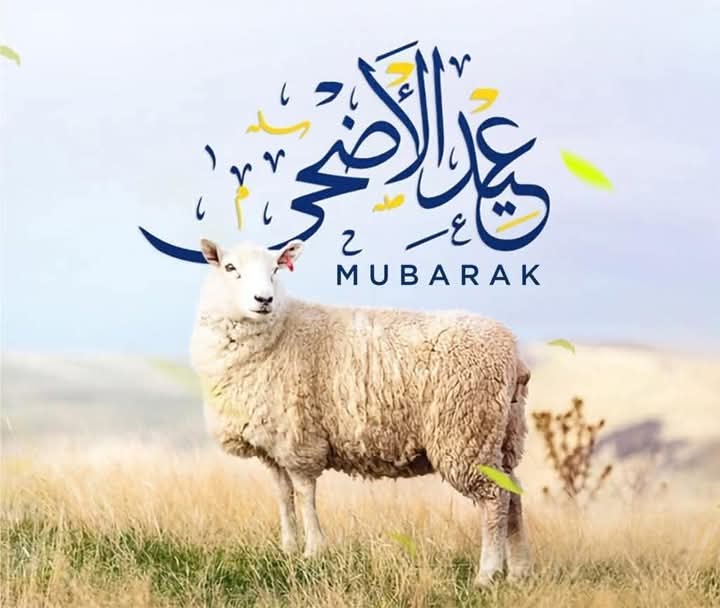 عید الاضحی مبارک 🤍