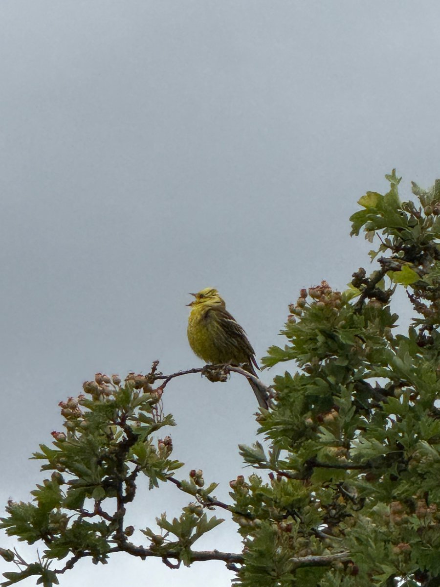 Privacy Matters  tweet media