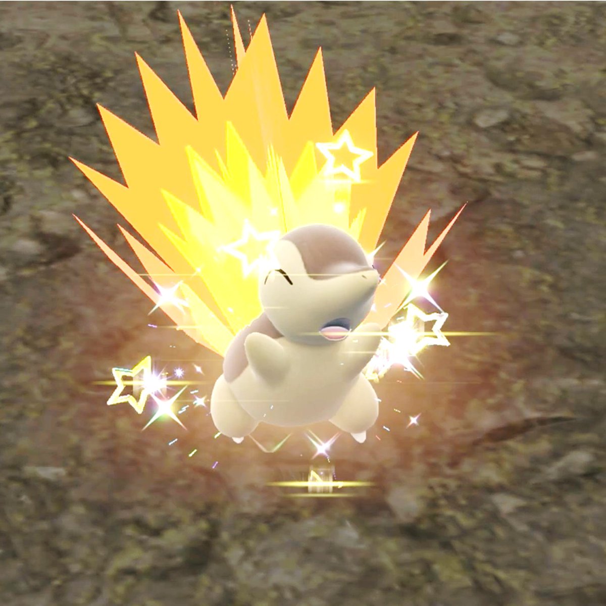 【色違いポケモン情報発信】シャイニーハントチャンネル✨ tweet media