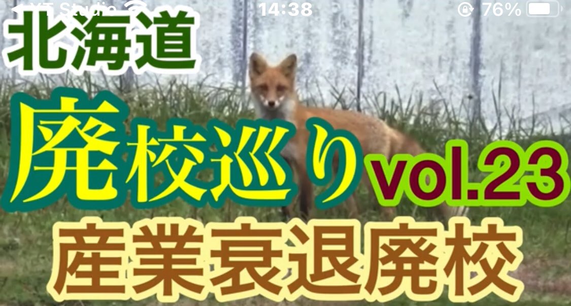 こぐま北海道 tweet media