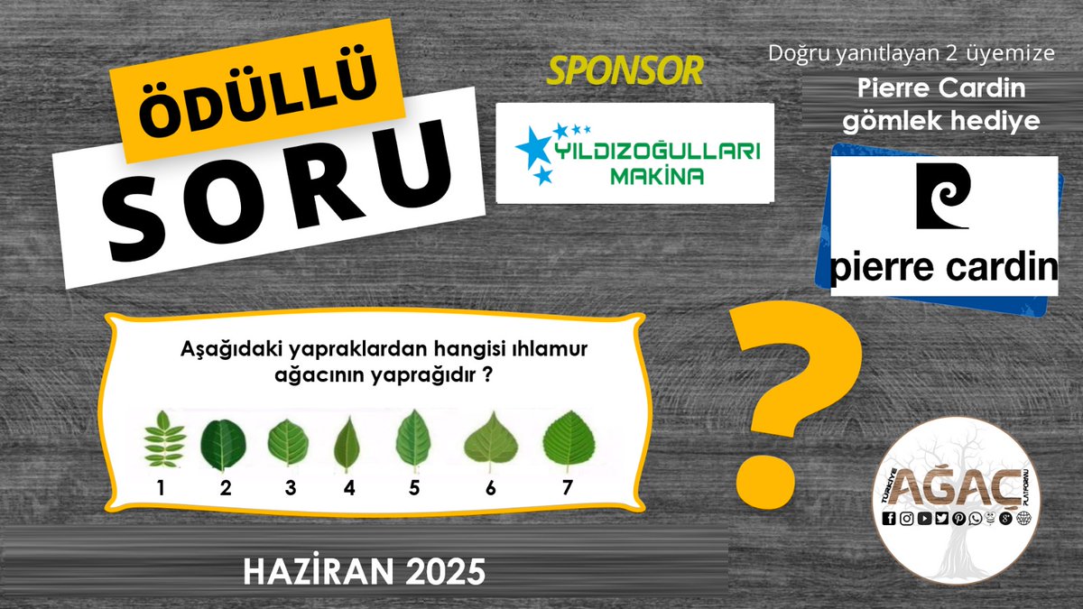 Yıldızoğulları Makina sponsorluğunda Haziran ayı ödüllü soru uygulamamız başladı. Doğru cevabı bilen 2 üyemize pierre cardin gömlek hediye. Haydi yorumlara...
 😌🌳🎉