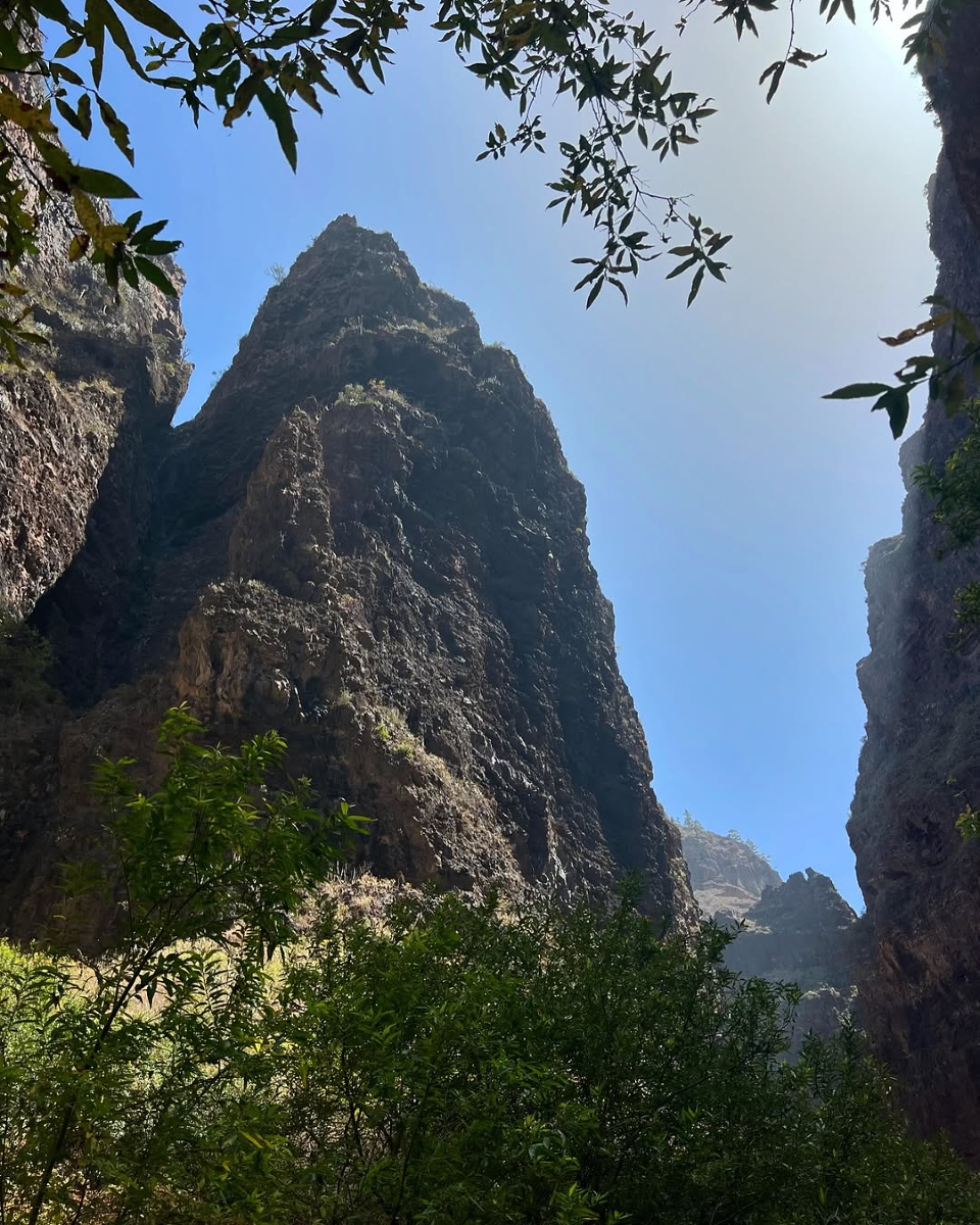 La Laguna Tenerife (@cb1939canarias) on Twitter photo 👋 Buenos días desde el imponente Barranco del Infierno, en Adeje. ¡Feliz lunes!🤩
<a href="/VisitTenerifeES/">VisitTenerifeES</a> | <a href="/TurismCanarias/">Turismo de Islas Canarias</a> | <a href="/costa_adeje/">Costa Adeje</a>
💛🖤 #VamosCanarias #LaLagunaTenerife #SeLlevaDentro 👋 Buenos días desde el imponente Barranco del Infierno, en Adeje. ¡Feliz lunes!🤩
<a href="/VisitTenerifeES/">VisitTenerifeES</a> | <a href="/TurismCanarias/">Turismo de Islas Canarias</a> | <a href="/costa_adeje/">Costa Adeje</a>
💛🖤 #VamosCanarias #LaLagunaTenerife #SeLlevaDentro