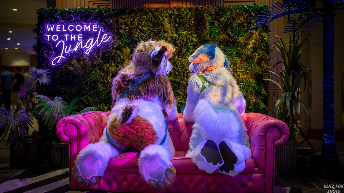 ππ€Xanderππ€ (@thatlionthing) on Twitter photo More cake than a bakery π
Ft <a href="/TiredBreezy/">β¨οΈ Polaris β¨οΈ</a> π
πΈ<a href="/Blitz__Fox/">πΎBlitzFoxπΎ πCORE ELEMENT</a> More cake than a bakery π
Ft <a href="/TiredBreezy/">β¨οΈ Polaris β¨οΈ</a> π
πΈ<a href="/Blitz__Fox/">πΎBlitzFoxπΎ πCORE ELEMENT</a>