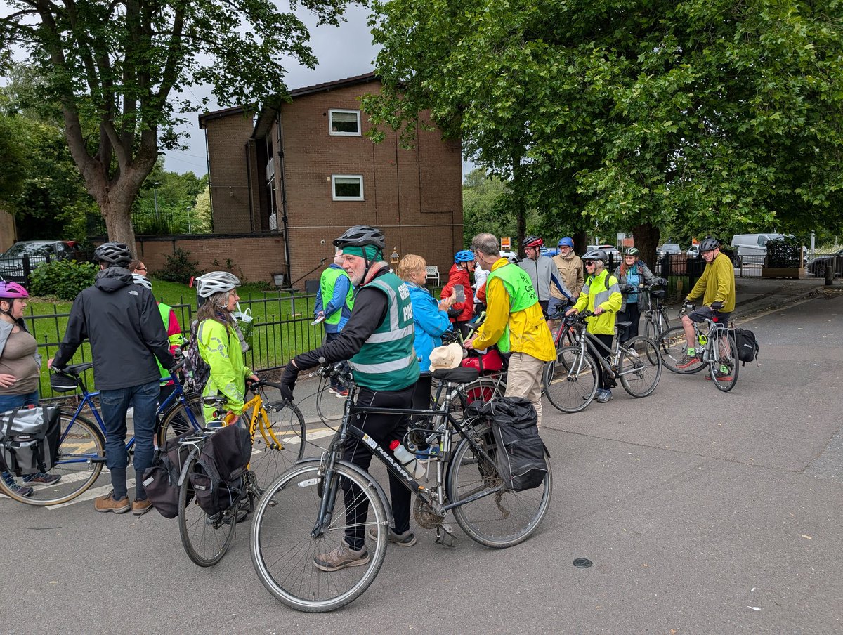 VoteGreen29 tweet media