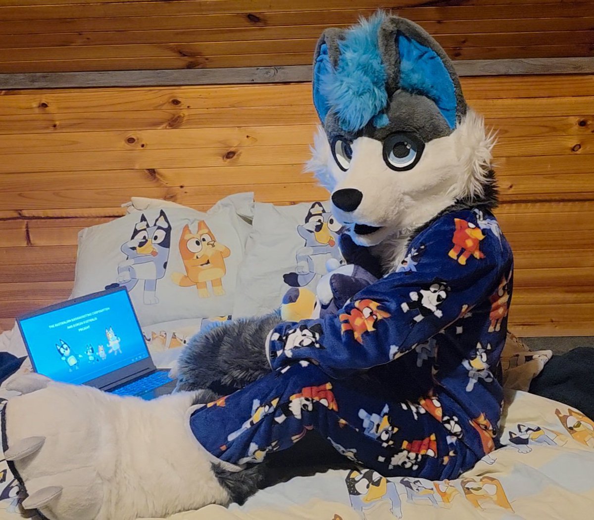 DaWusky's tweet photo. Rugged up to watch some Bluey. Who's with me? #furry #fursuit #bluey https://t.co/2bDmYf6TRm