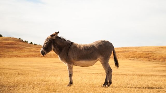 💰 Family Vacations on a Budget, Pacific Northwest Escape, and More! 🌲 - mailchi.mp/budgettravel.c…