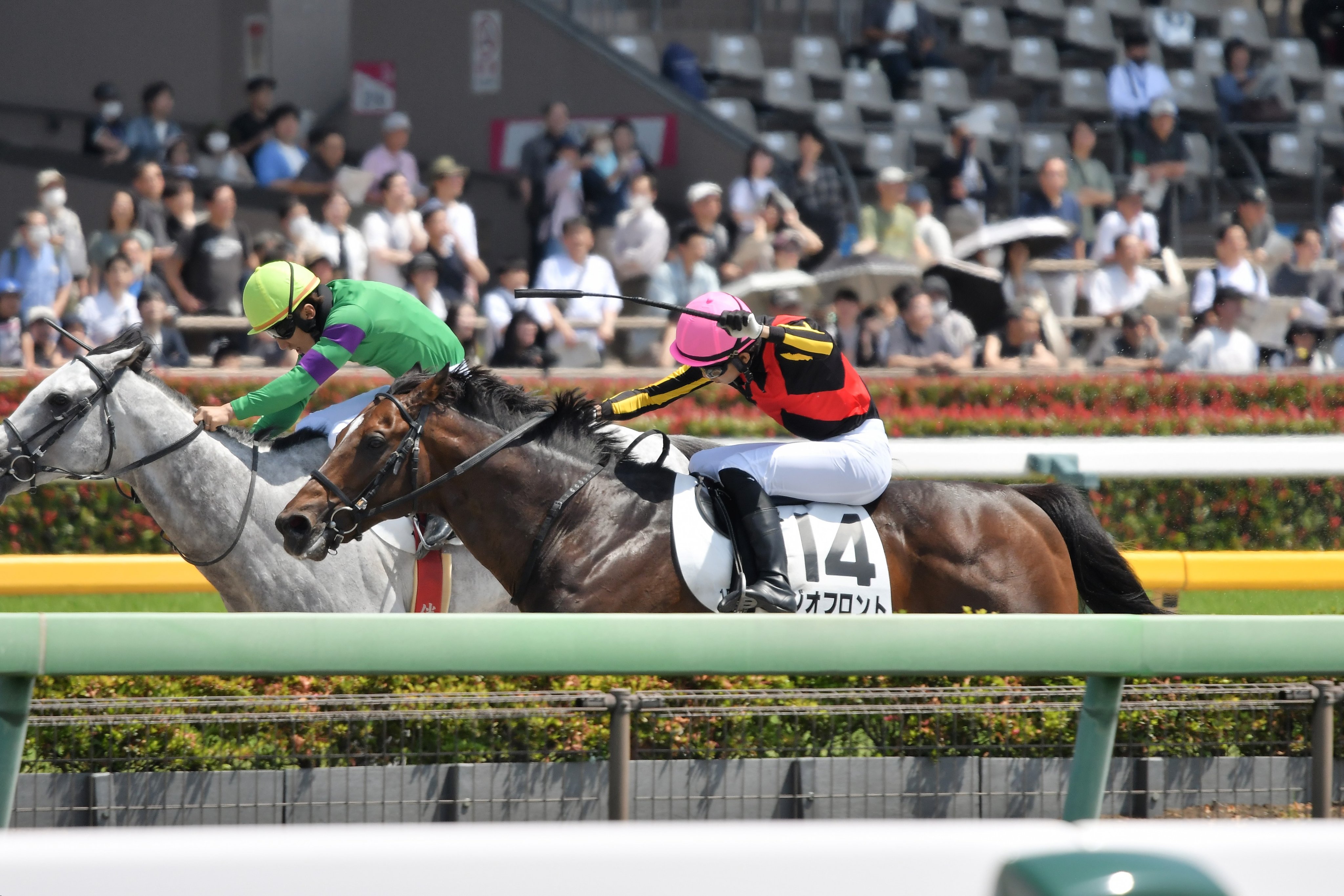 全競馬場出目V作戦 2001～2002