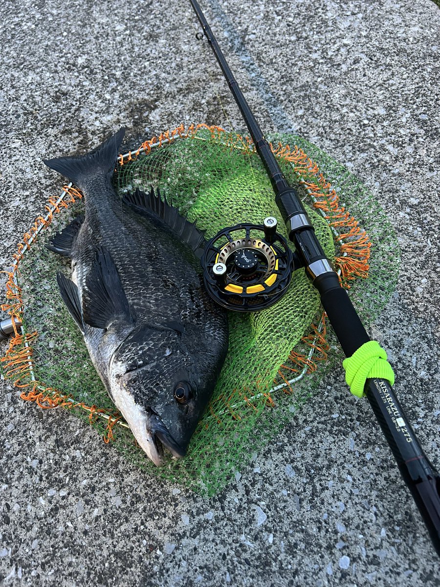 緊急出動でベイワン出られず😰
悔しいので仕事終わらせて夕方2時間勝負
黒工カップ用に仕入れたBAY KISARAZUの鱗付けも完了
調子はかなり好みだけど穂先はグラスソリッドがいいな...