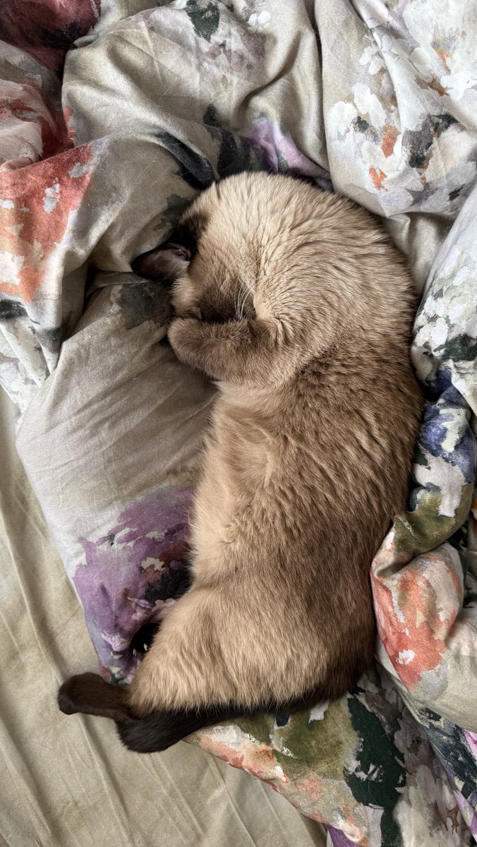 У меня было много планов, но такой день