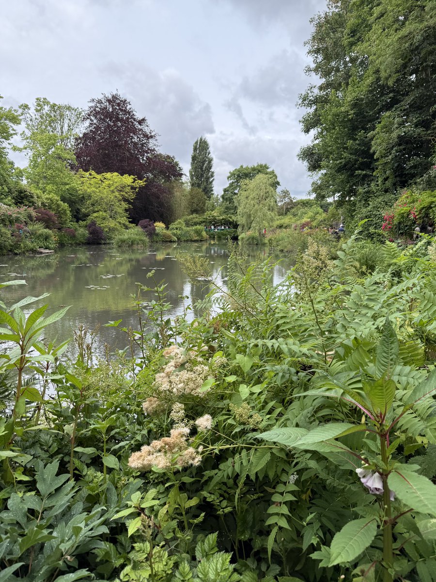 Git pull, git push, why don’t you git some air