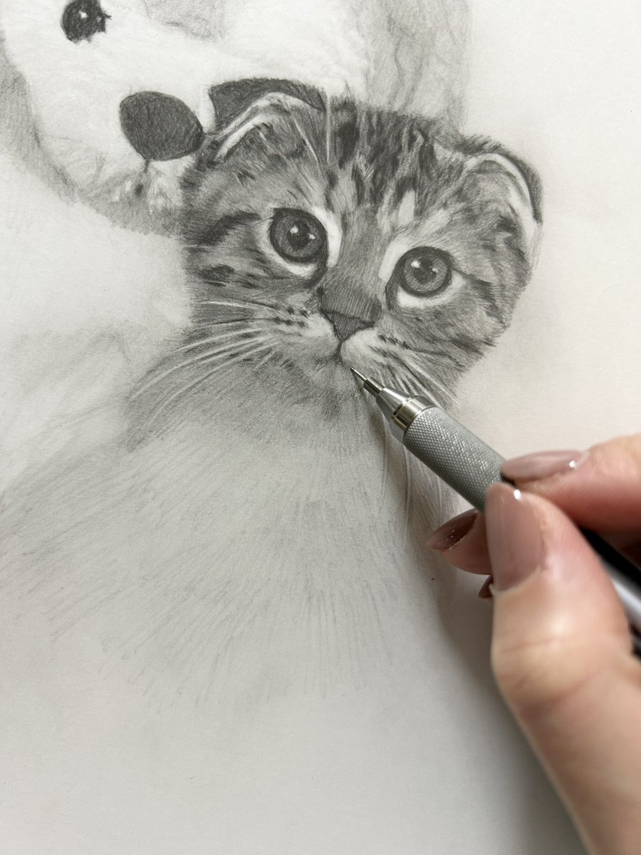 Tetsu　猫　鉛筆画　原画 Tetsu 猫 鉛筆画 原画 Tetsu 猫 鉛筆画 原画 猫の絵191 鉛筆画