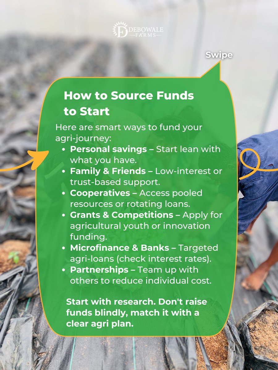 debowale_farms's tweet photo. Farming needs money, yes. But how much and how you raise it depends on how you start.
Swipe the carousel.
Follow us for smart agri-education that helps you grow.
#FarmWisely #debowalefarms #horeca #agriculture #FarmingTips #businesscapital #smartbusiness #farmlife #farm https://t.co/p3euTj2dYK
