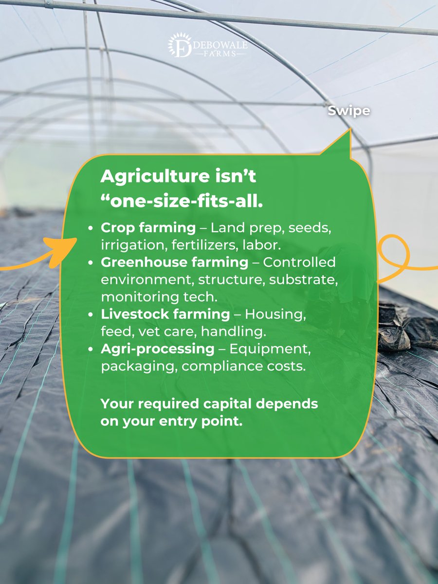 debowale_farms's tweet photo. Farming needs money, yes. But how much and how you raise it depends on how you start.
Swipe the carousel.
Follow us for smart agri-education that helps you grow.
#FarmWisely #debowalefarms #horeca #agriculture #FarmingTips #businesscapital #smartbusiness #farmlife #farm https://t.co/p3euTj2dYK