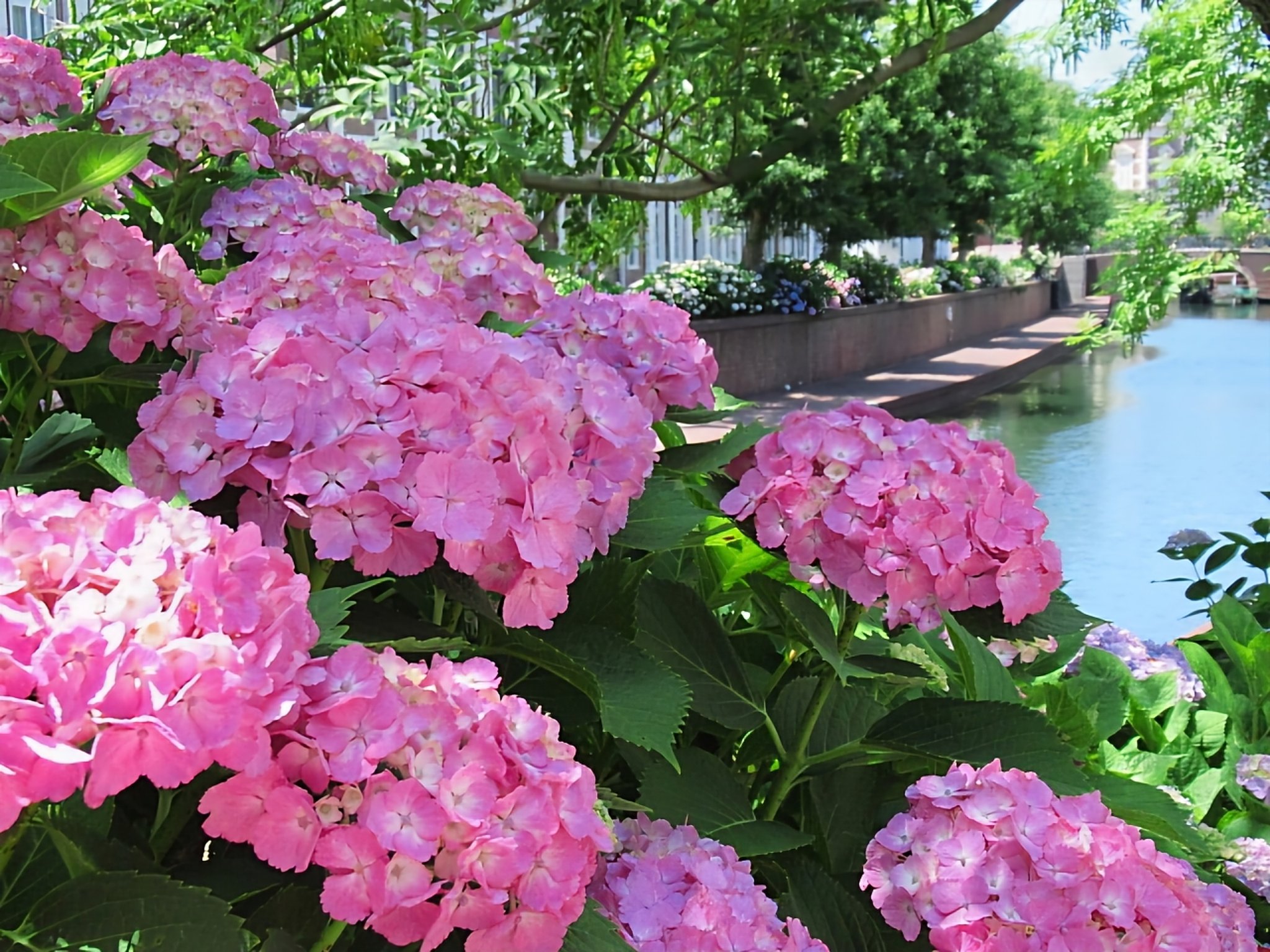 きくじろう(おきく) on X: 