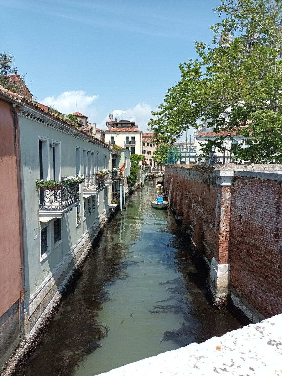 Fergus Stephenson tweet media