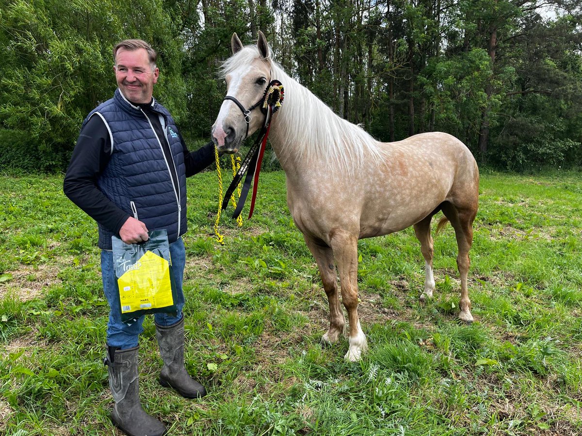 The first Best at Appleby Awards for horse health, happiness and horsemanship have been given at this year’s Fair. The annual gathering of Gypsy, Roma and Traveller communities, is currently taking place in the Cumbrian town. 

More at applebyfair.org/news-0/2025/fi…