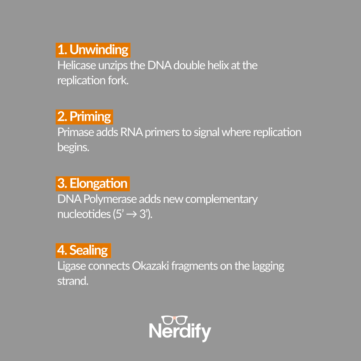 GoNerdify's tweet image. DNA replication is semi-conservative🧬
Each new cell gets an exact genetic copy. 
Key steps: unwind → prime → elongate → seal. 
Simple &amp;amp; essential

Need help? Nerdify’s got you😉

#nerdify #gonerdify #biologyhelp #biologystudy #biologyquestions #dna #dnareplication