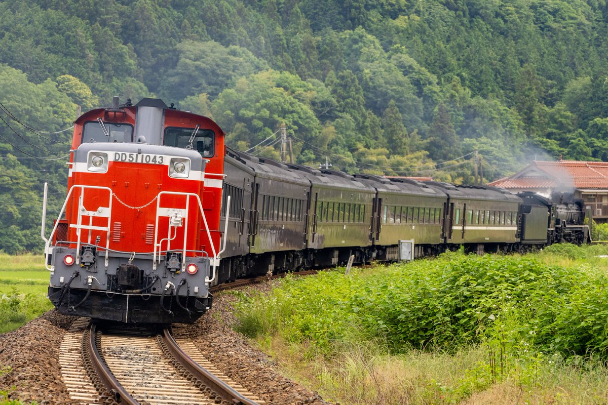 本日の収穫

ホキ工臨の降ろし現場
DE10+14系客車サロンカーなにわ(サロンカー彗星)
D51 200+35系客車+DD51 1043 (SLやまぐち号訓練)

山陽、日豊、山口と色々駆け巡りました