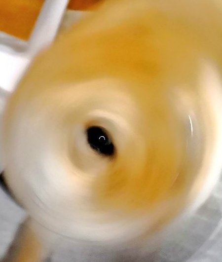 #ギリギリイヌ判定選手権
これ以上の作品を残せる気がしないのです