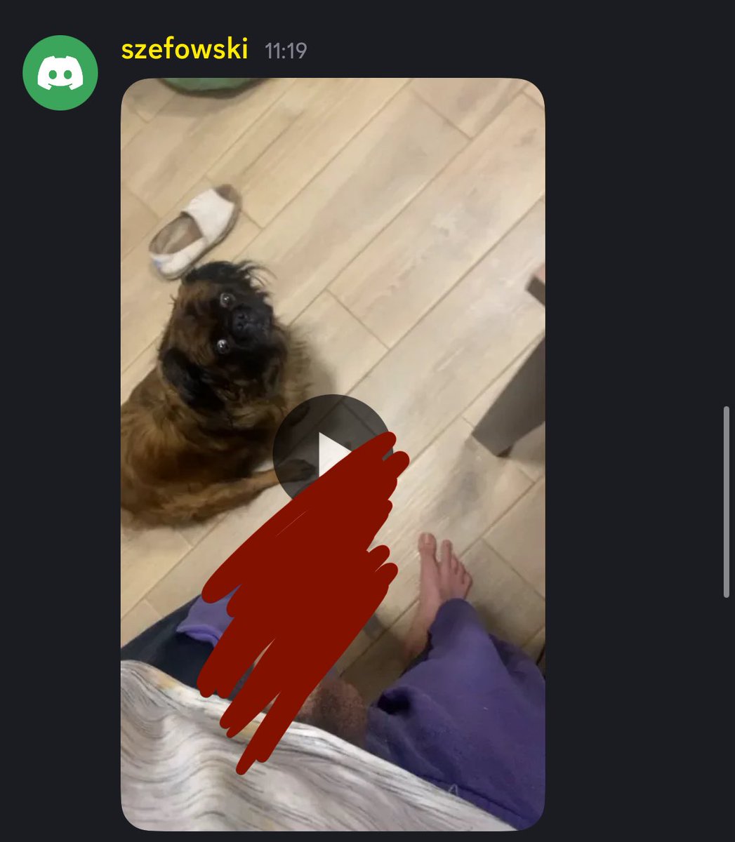 sosssuwa's tweet photo. XDD pozdro dla tego pojebane typka jak ktos chce to moge dac link do dc 
chlop lize sie z psem i je swoje gownoxd https://t.co/pmYsi6qKIu
