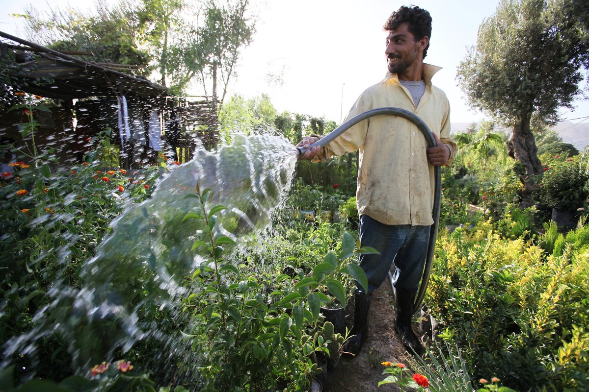 🚜 #SécuritéAlimentaire | 84% des exploitations agricoles mondiales font moins de 2 hectares 

🟩 Pourtant, ces petites exploitations produisent 30% de notre alimentation. Leur travail est ESSENTIEL

👉 Voici pq : tinyurl.com/2w8xk9y6

#JournéeMondialeDeLaSécuritéAlimentaire