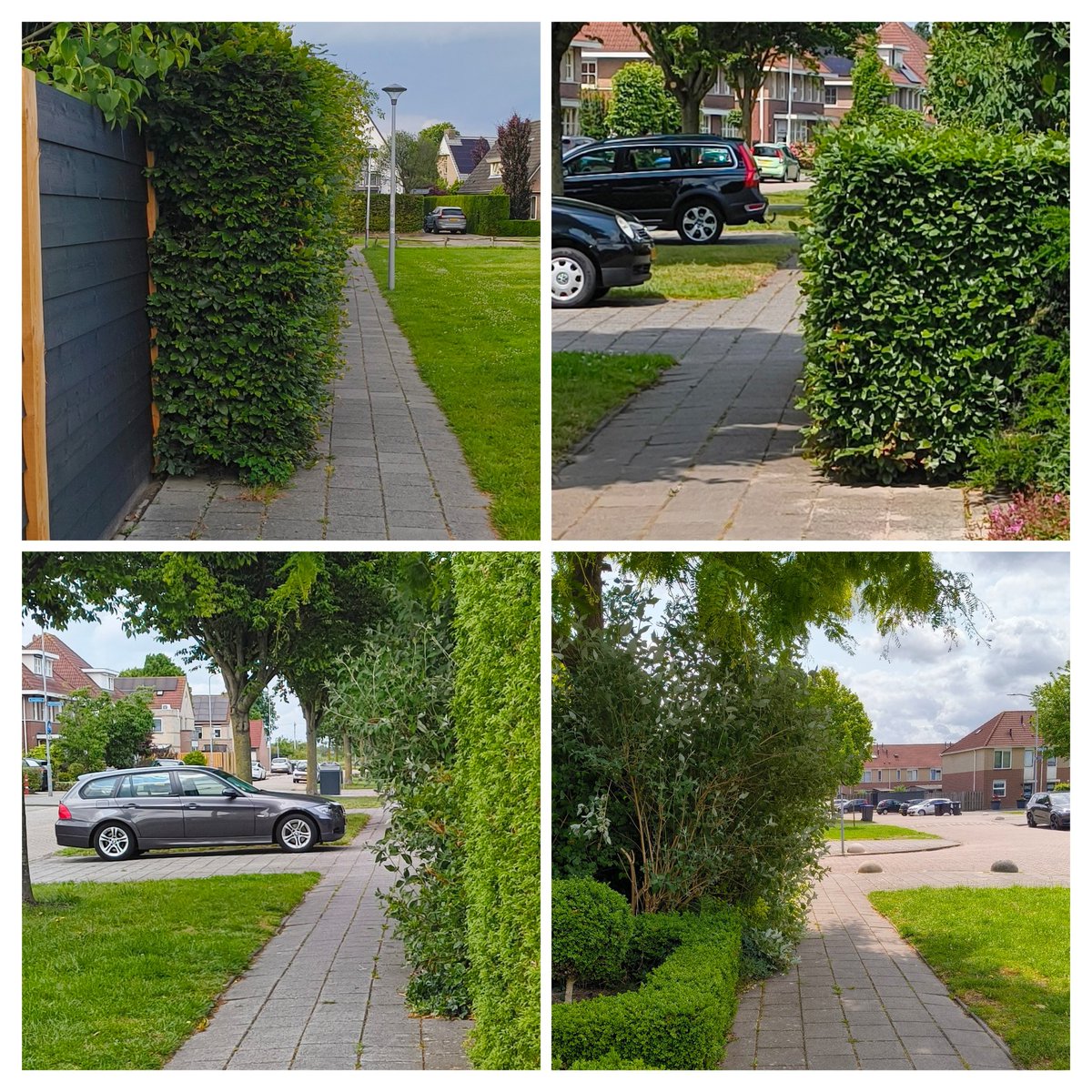 jan middelkoop tweet media