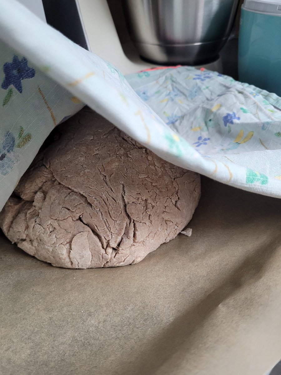 berner_ulrike's tweet image. Guess what's silently sleeping and growing here? My new sourdough bread🥰 with buckwheat, brown millet, corn, rice and linseed flours. #bakingbread #sourdough