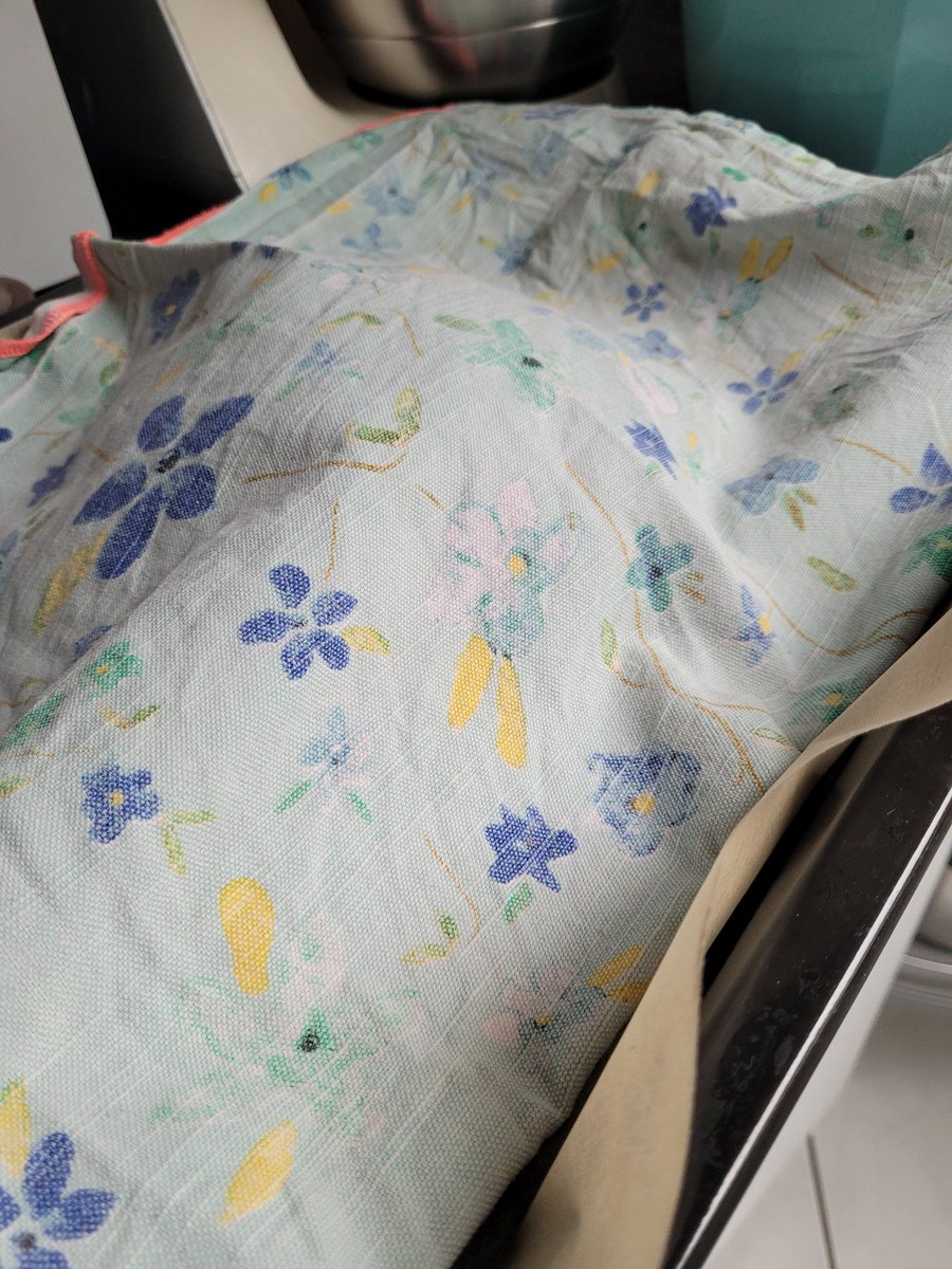 berner_ulrike's tweet image. Guess what's silently sleeping and growing here? My new sourdough bread🥰 with buckwheat, brown millet, corn, rice and linseed flours. #bakingbread #sourdough